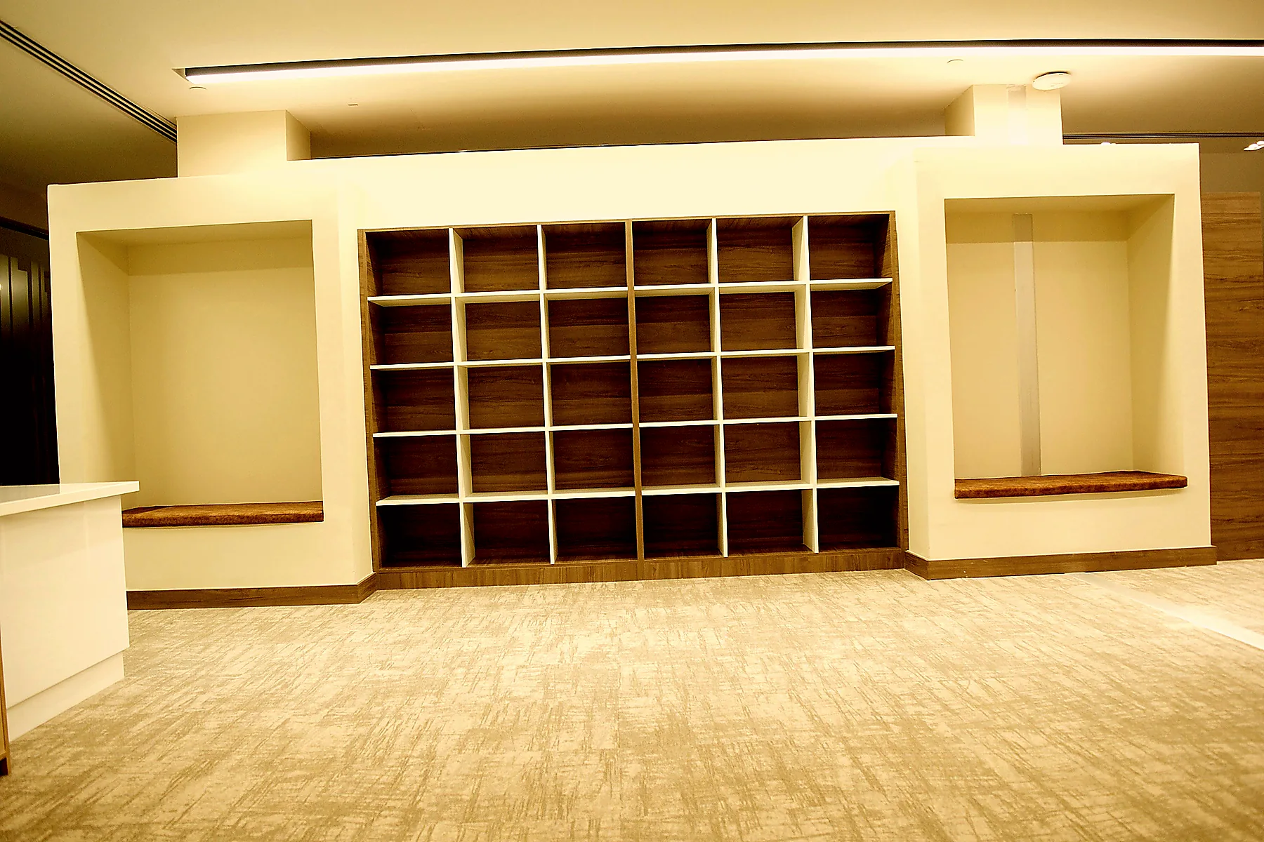 Library — reading and display