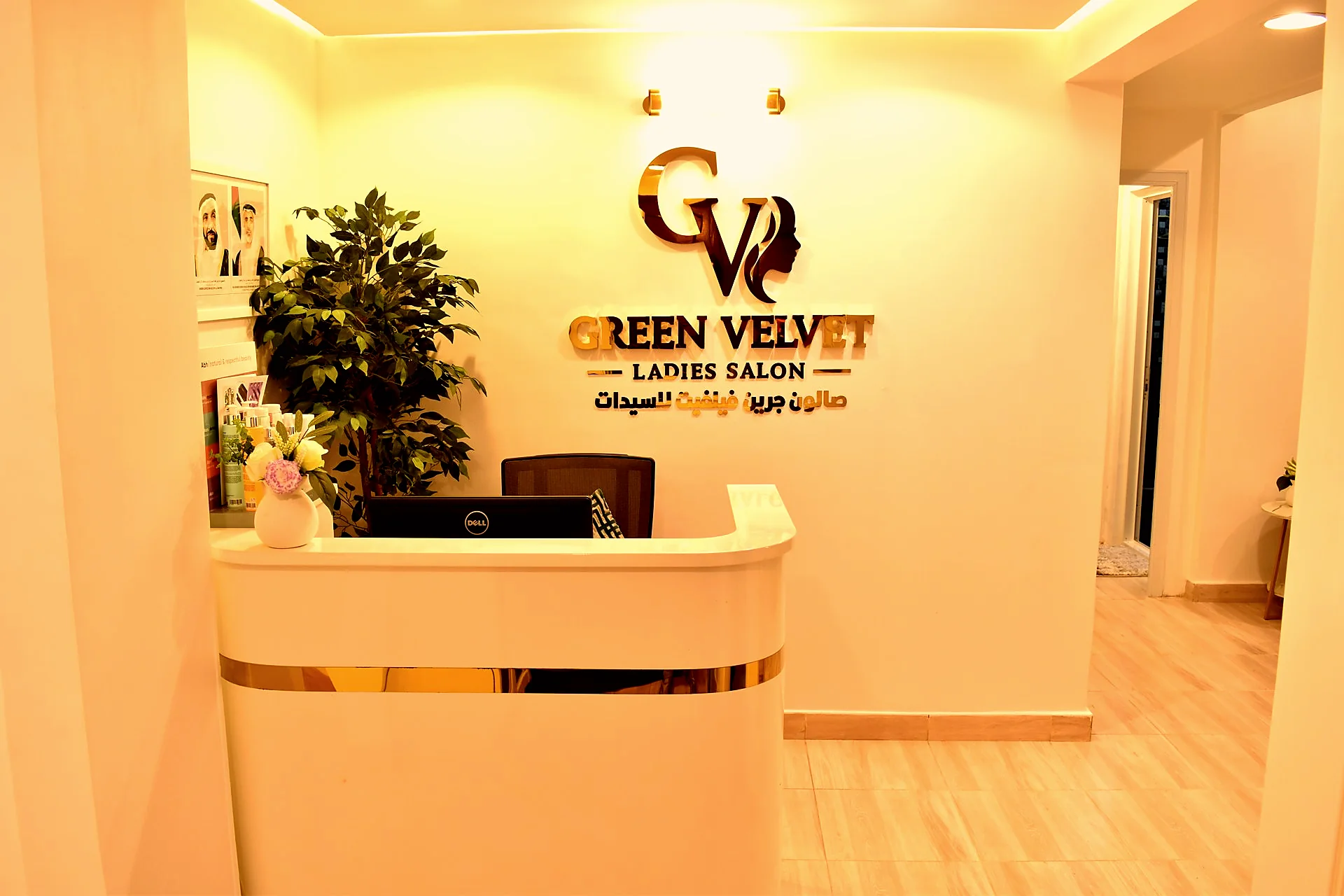 Green Velvet Ladies Salon — reception, the arrival moment